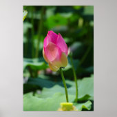 春 ポスター (正面)