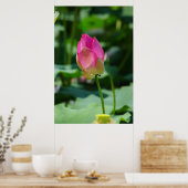 春 ポスター (キッチン)