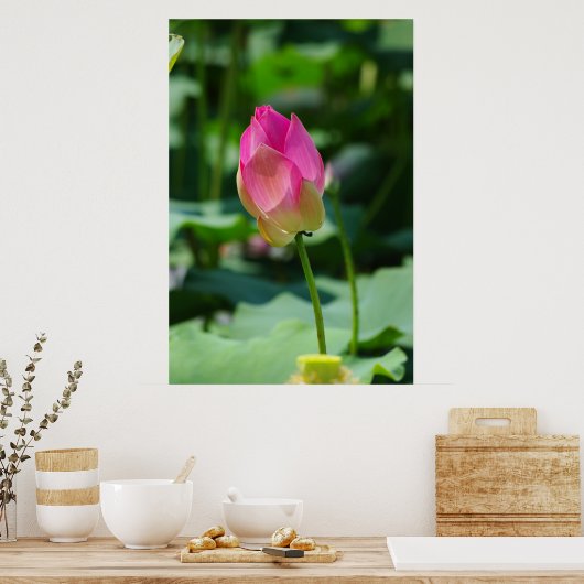 春 ポスター (キッチン)