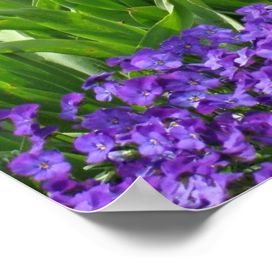 春 ポスター (角)