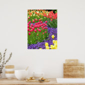 春 ポスター (キッチン)