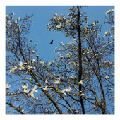 春 ポスター (正面)