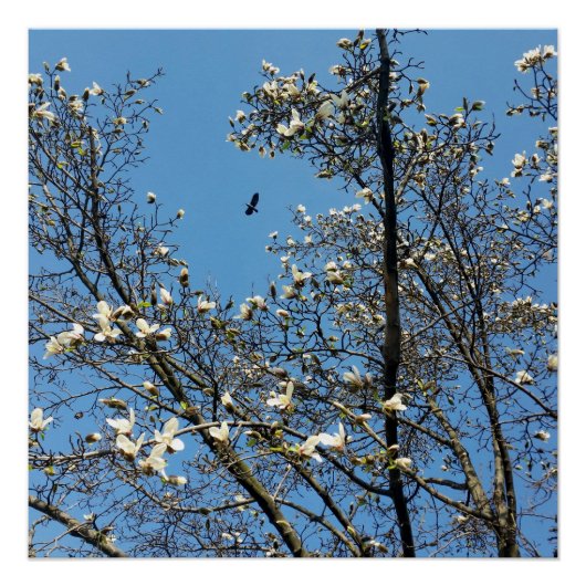 春 ポスター (正面)