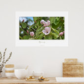 春 ポスター (キッチン)