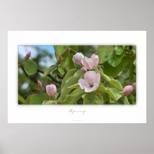 春 ポスター (正面)