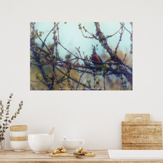 春 ポスター (キッチン)