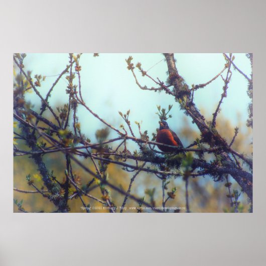 春 ポスター (正面)