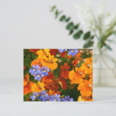 春 ポストカード (スタンド正面)