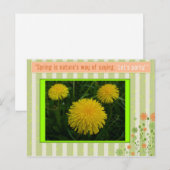 春 ポストカード (正面/裏面)