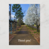 春 ポストカード (正面)