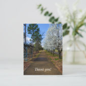 春 ポストカード (スタンド正面)