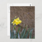 春! ポストカード (正面/裏面)