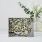 春 ポストカード (スタンド正面)