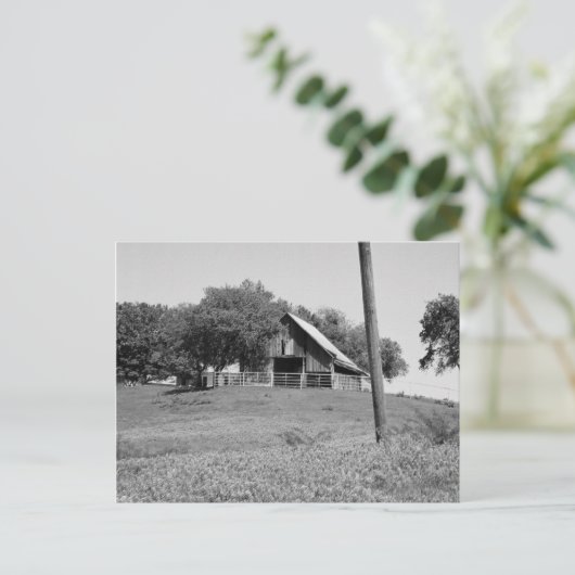 春 ポストカード (スタンド正面)