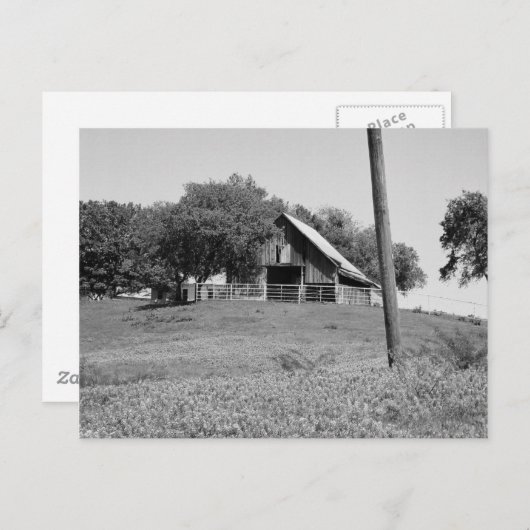 春 ポストカード (正面/裏面)