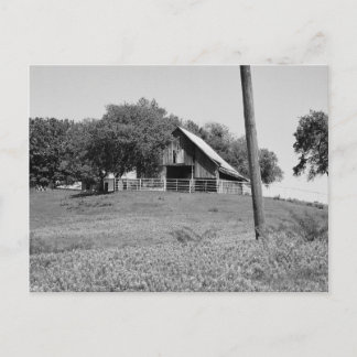 春 ポストカード