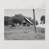 春 ポストカード (正面)