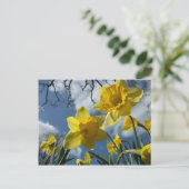 春 ポストカード (スタンド正面)