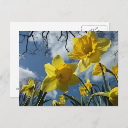 春 ポストカード (正面/裏面)