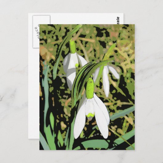 春 ポストカード (正面/裏面)