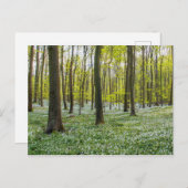 春 ポストカード (正面/裏面)