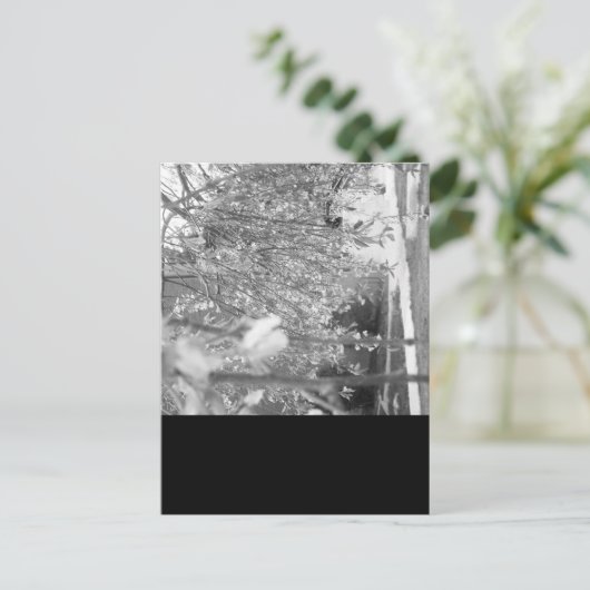 春 ポストカード (スタンド正面)