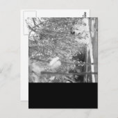 春 ポストカード (正面/裏面)