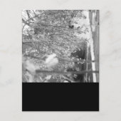 春 ポストカード (正面)