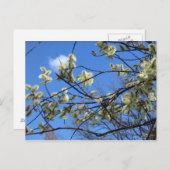 春 ポストカード (正面/裏面)