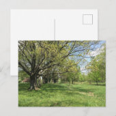 春 ポストカード (正面/裏面)