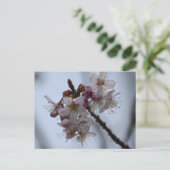 春 ポストカード (スタンド正面)