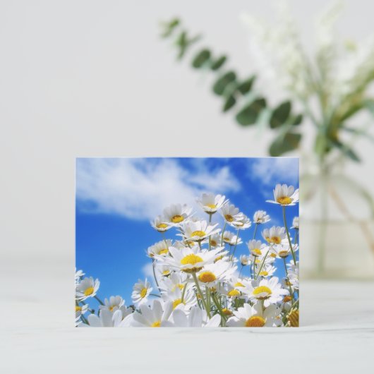 春 ポストカード (スタンド正面)