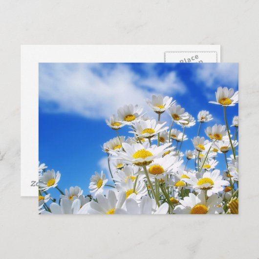 春 ポストカード (正面/裏面)