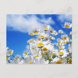 春 ポストカード