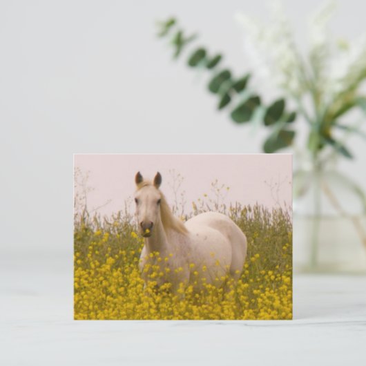 春 ポストカード (スタンド正面)