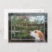 春 ポストカード (正面/裏面)