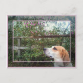 春 ポストカード (正面)