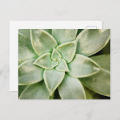 春 ポストカード (正面/裏面)