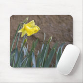 春! マウスパッド (マウス)