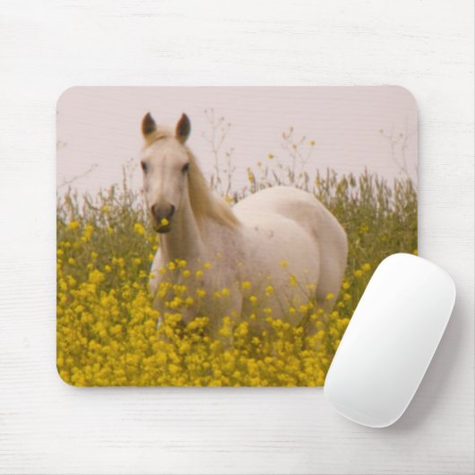 春 マウスパッド (マウス)