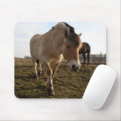 春 マウスパッド (マウス)