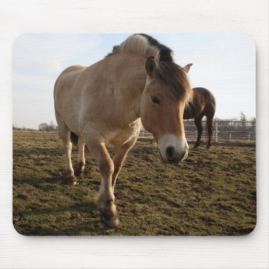 春 マウスパッド (正面)