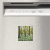 春 マグネット (インサイチュ (食洗機))