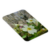 春 マグネット (右側)