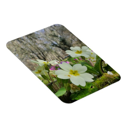 春 マグネット (右側)