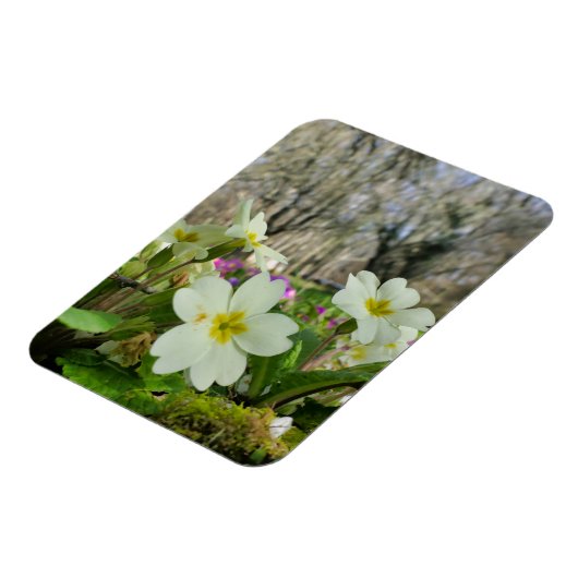 春 マグネット (左側)