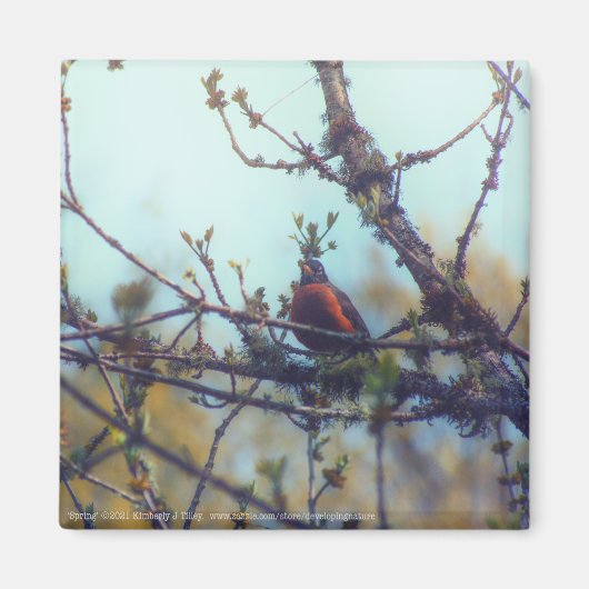 春 マグネット (正面)