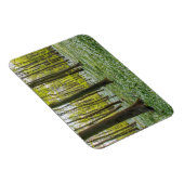 春 マグネット (右側)