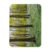 春 マグネット (縦)