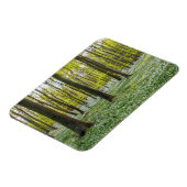 春 マグネット (左側)